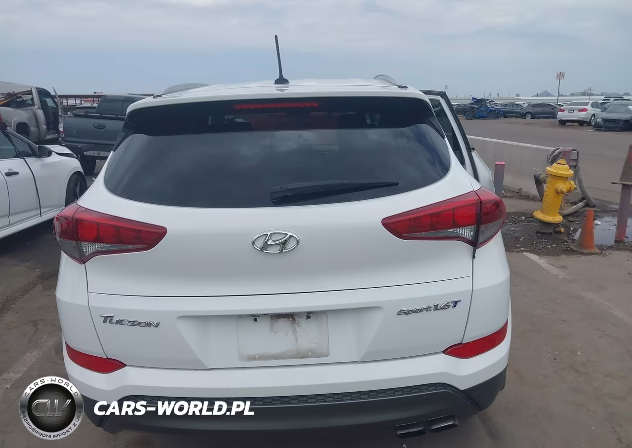 2016 Hyundai Tucson Sport VIN:KM8J33A28GU036840 - 15