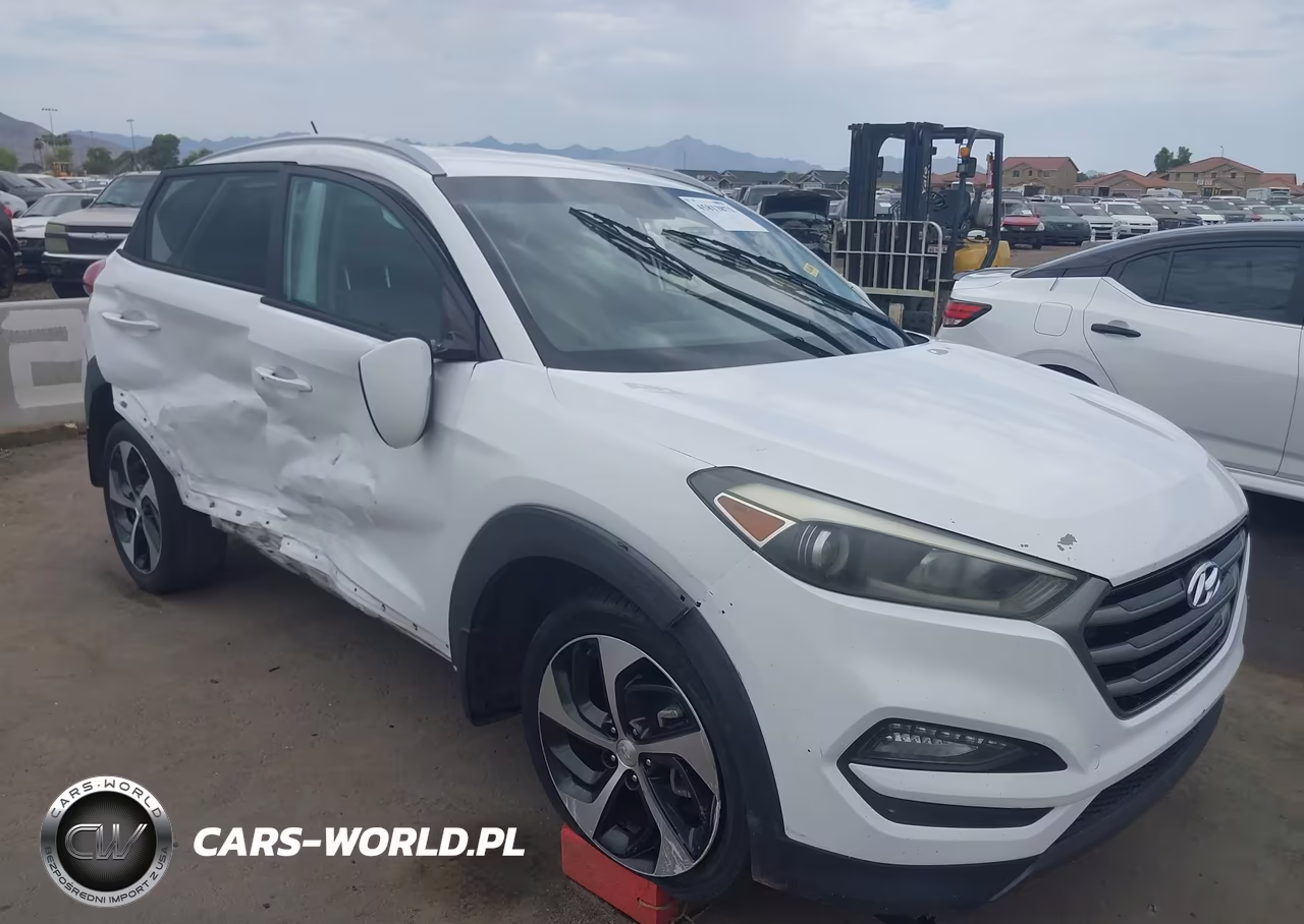2016 Hyundai Tucson Sport VIN:KM8J33A28GU036840 - 6