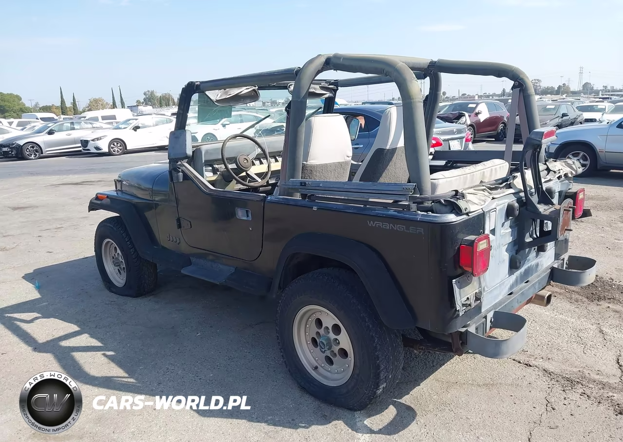 1994 Jeep Wrangler - Yj Se VIN:1J4FY29S2RP425673 - 3