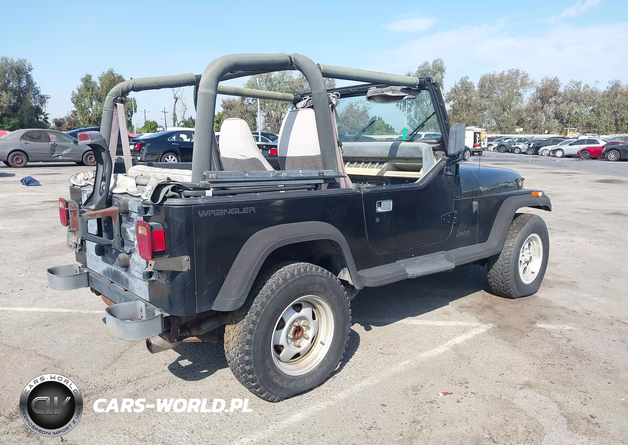 1994 Jeep Wrangler - Yj Se VIN:1J4FY29S2RP425673 - 4