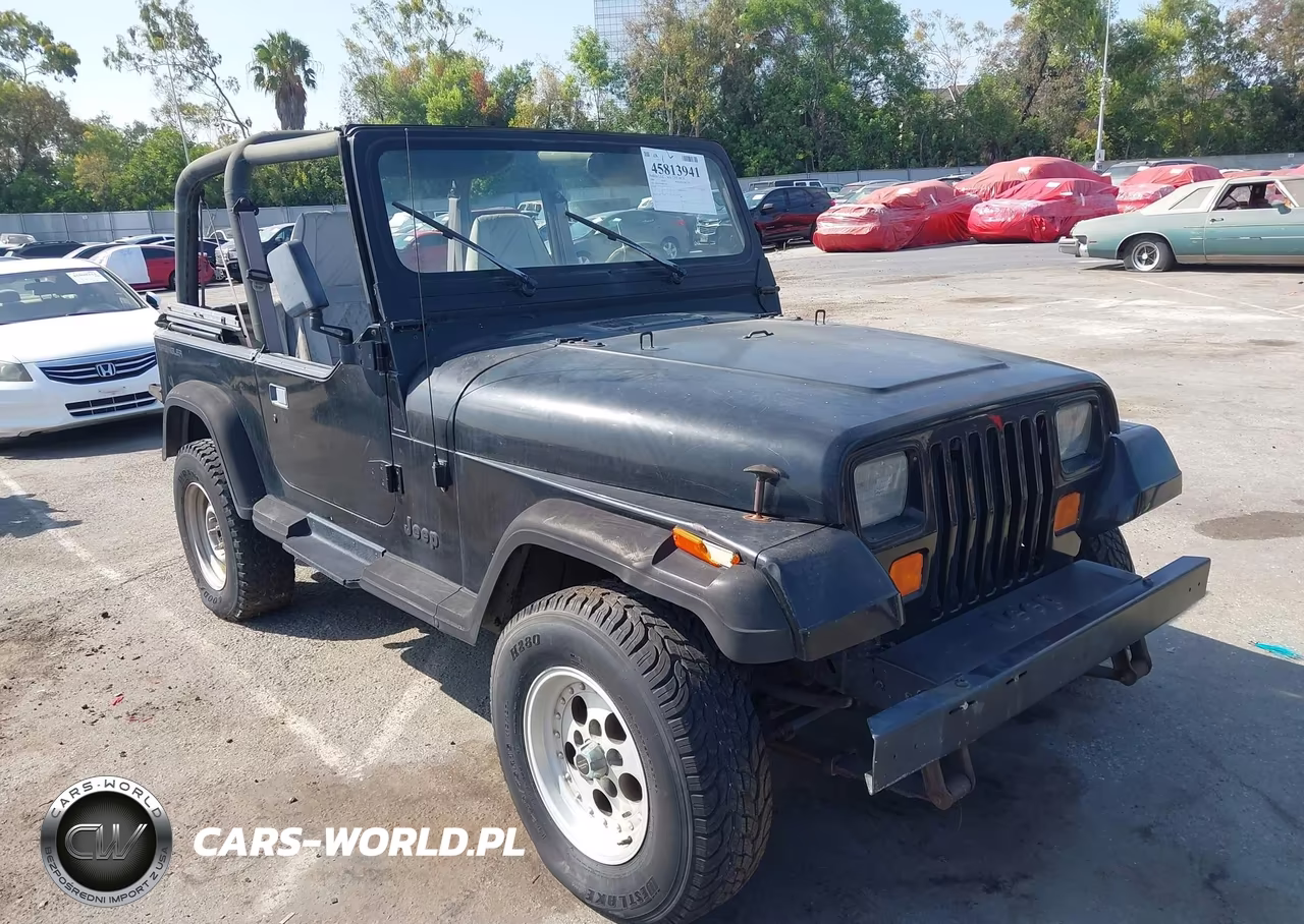 1994 Jeep Wrangler - Yj Se VIN:1J4FY29S2RP425673 - 6