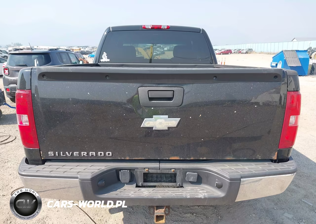 2009 Chevrolet Silverado 1500 Ls-Work Truck VIN:2GCEK19C291137350 - 17