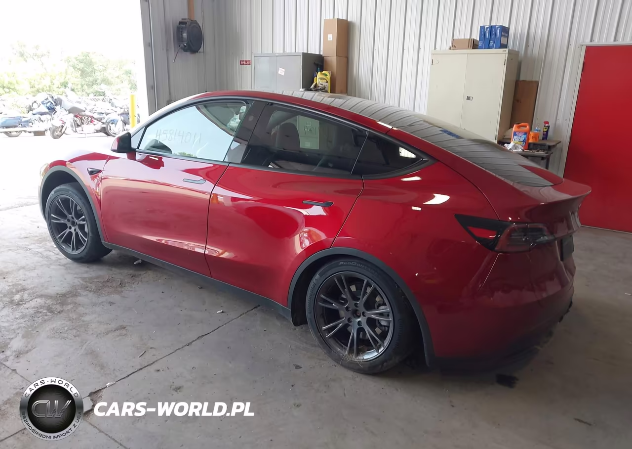 2025 Tesla Model Y Long Range Dual Motor All-Wheel Drive VIN:7SAYGAEE7SF290866 - 3