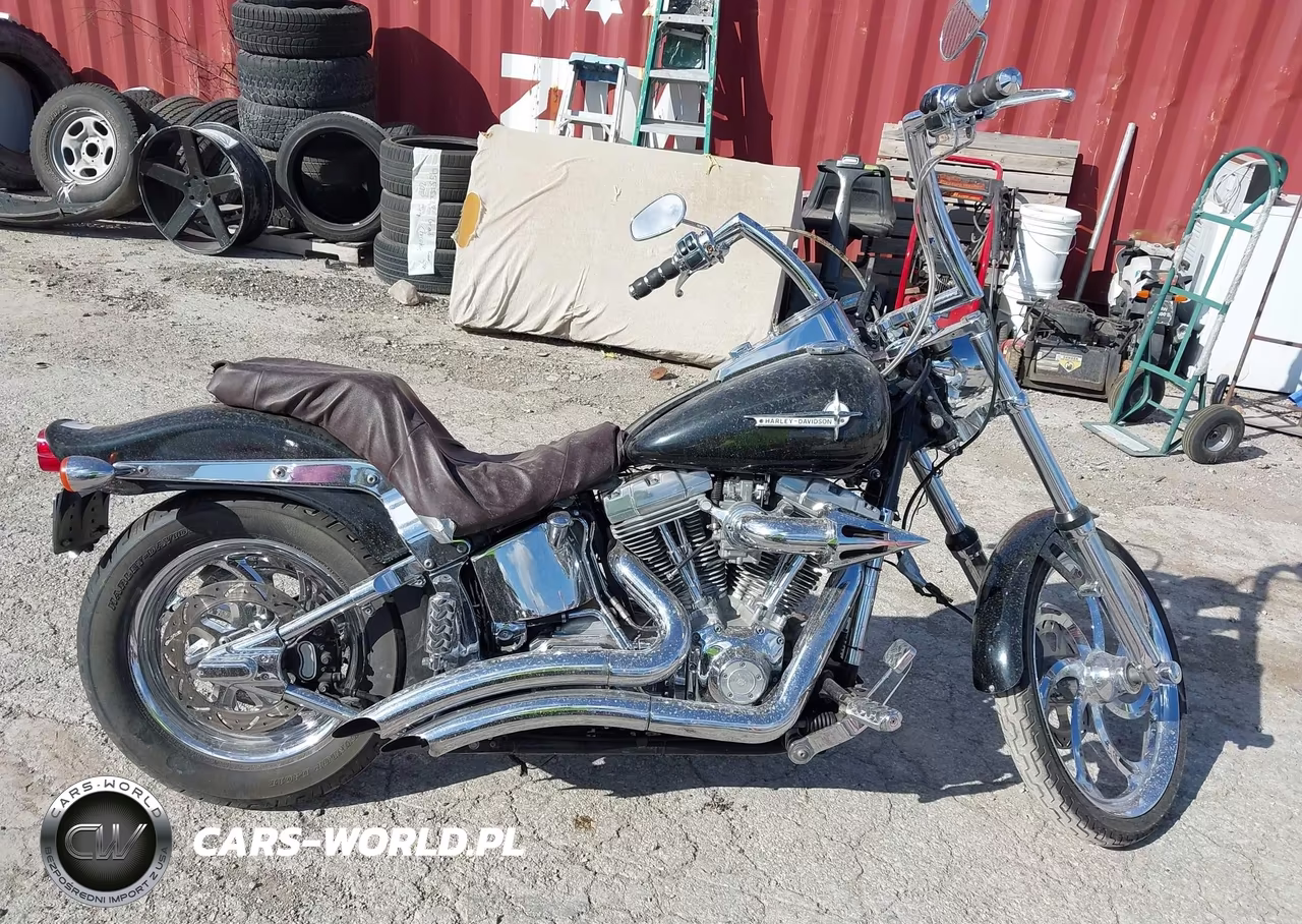 2005 Harley-Davidson Fxst VIN:1HD1BHY145Y057609 - 11