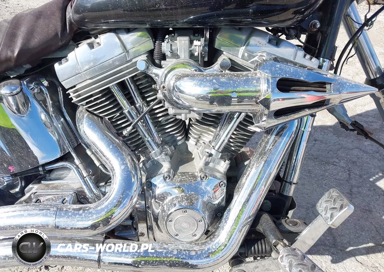 2005 Harley-Davidson Fxst VIN:1HD1BHY145Y057609 - 8