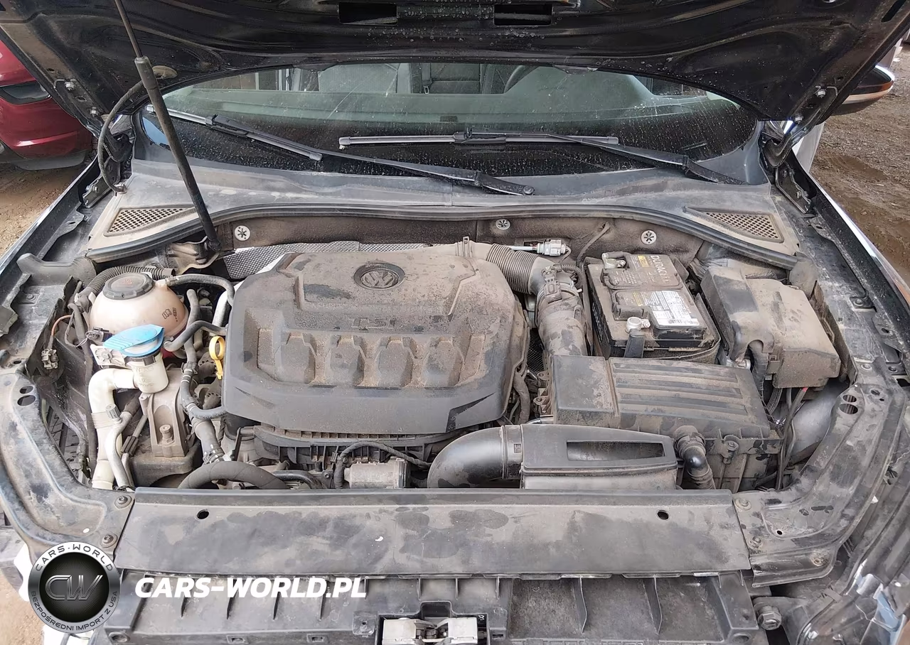 2019 Volkswagen Passat 2.0T Wolfsburg Edition VIN:1VWLA7A34KC005552 - 10