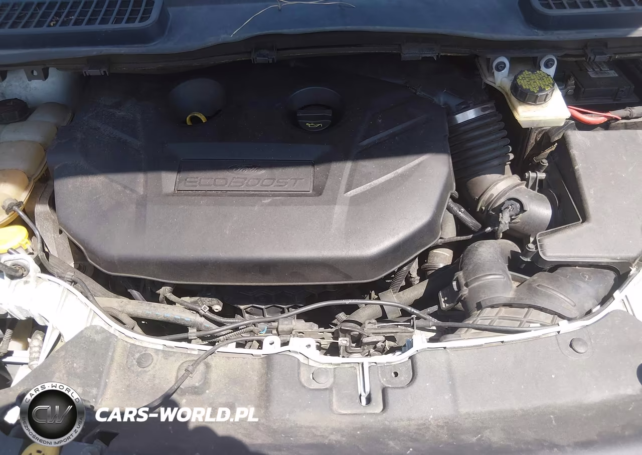 2016 Ford Escape Se VIN:1FMCU9G95GUB61016 - 10