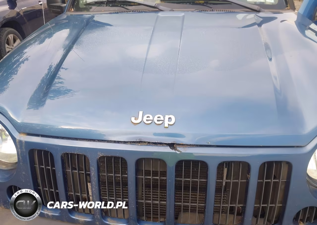 2006 Jeep Liberty Sport VIN:1J4GL48KX6W257962 - 10