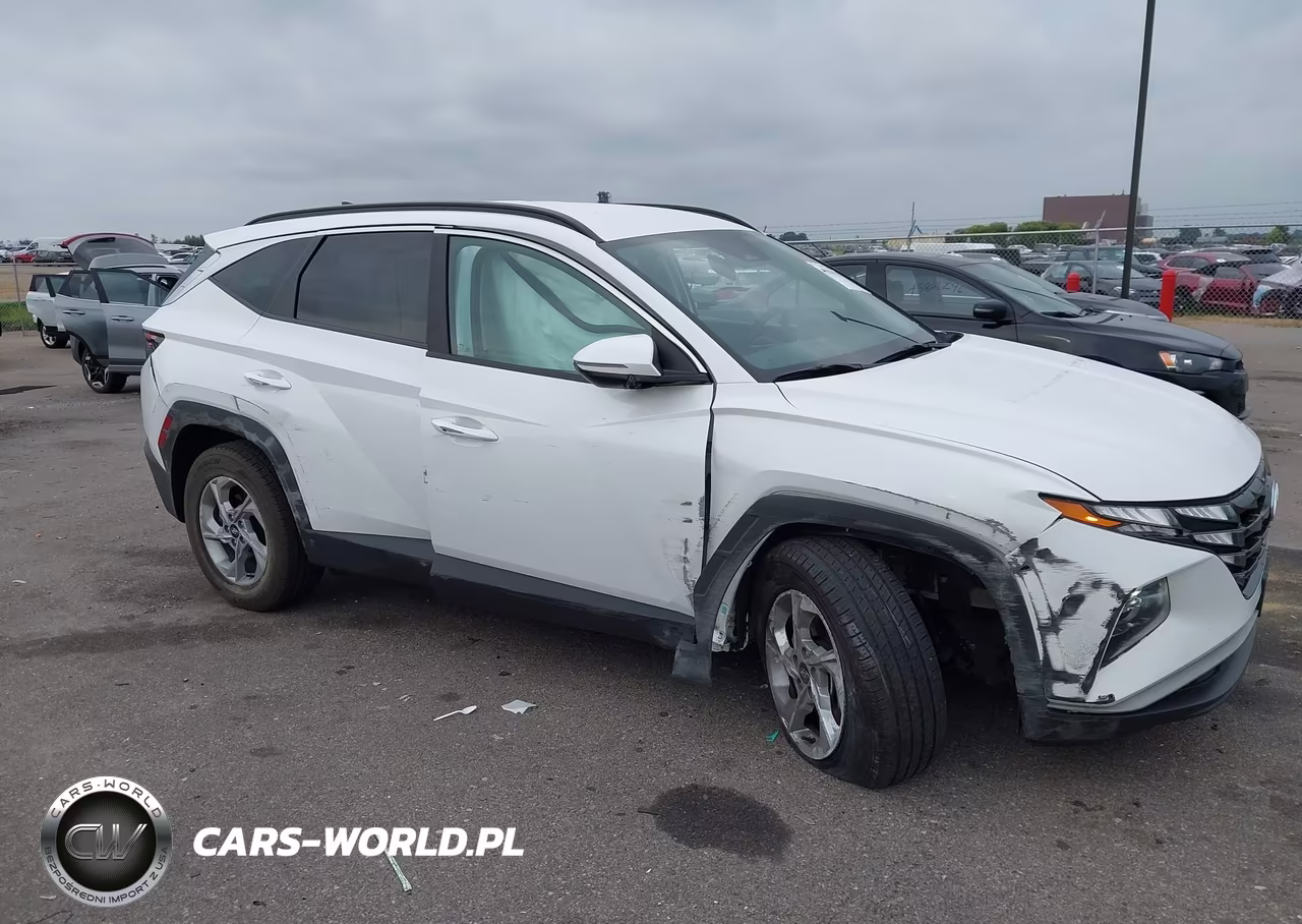 2022 Hyundai Tucson Sel VIN:5NMJBCAE6NH142564 - 13