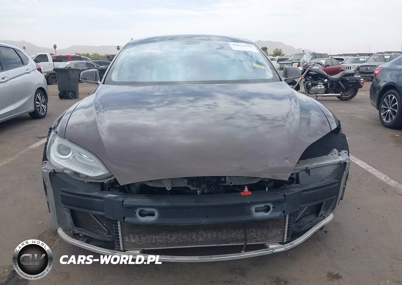 2012 Tesla Model S Performance-Signature Performance VIN:5YJSA1DP0CFP03218 - 13