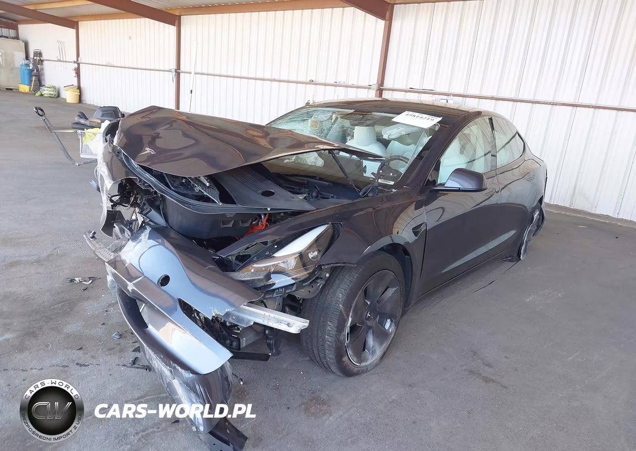 2023 Tesla Model 3 Rear-Wheel Drive VIN:5YJ3E1EA1PF614508 - 2