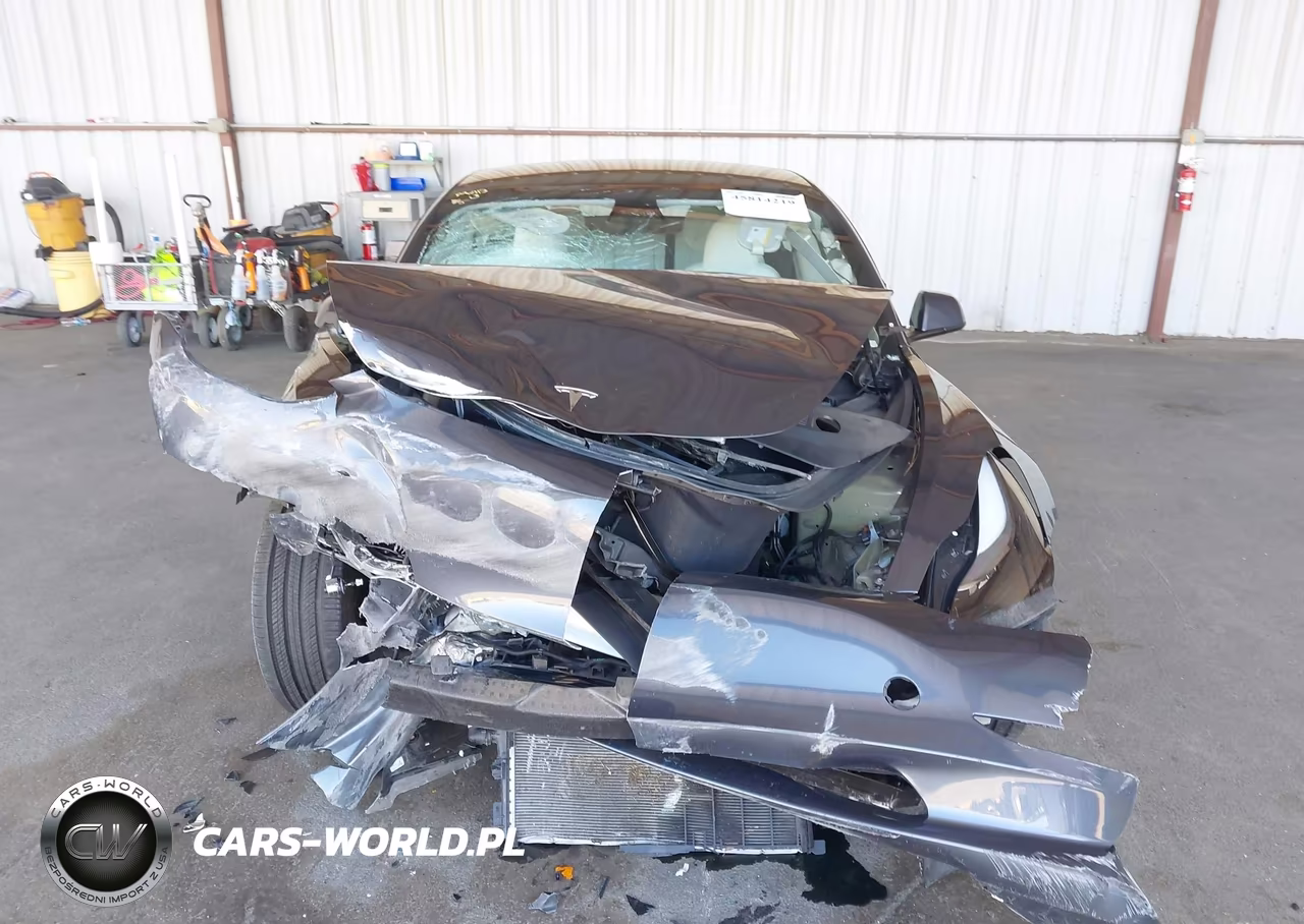 2023 Tesla Model 3 Rear-Wheel Drive VIN:5YJ3E1EA1PF614508 - 6