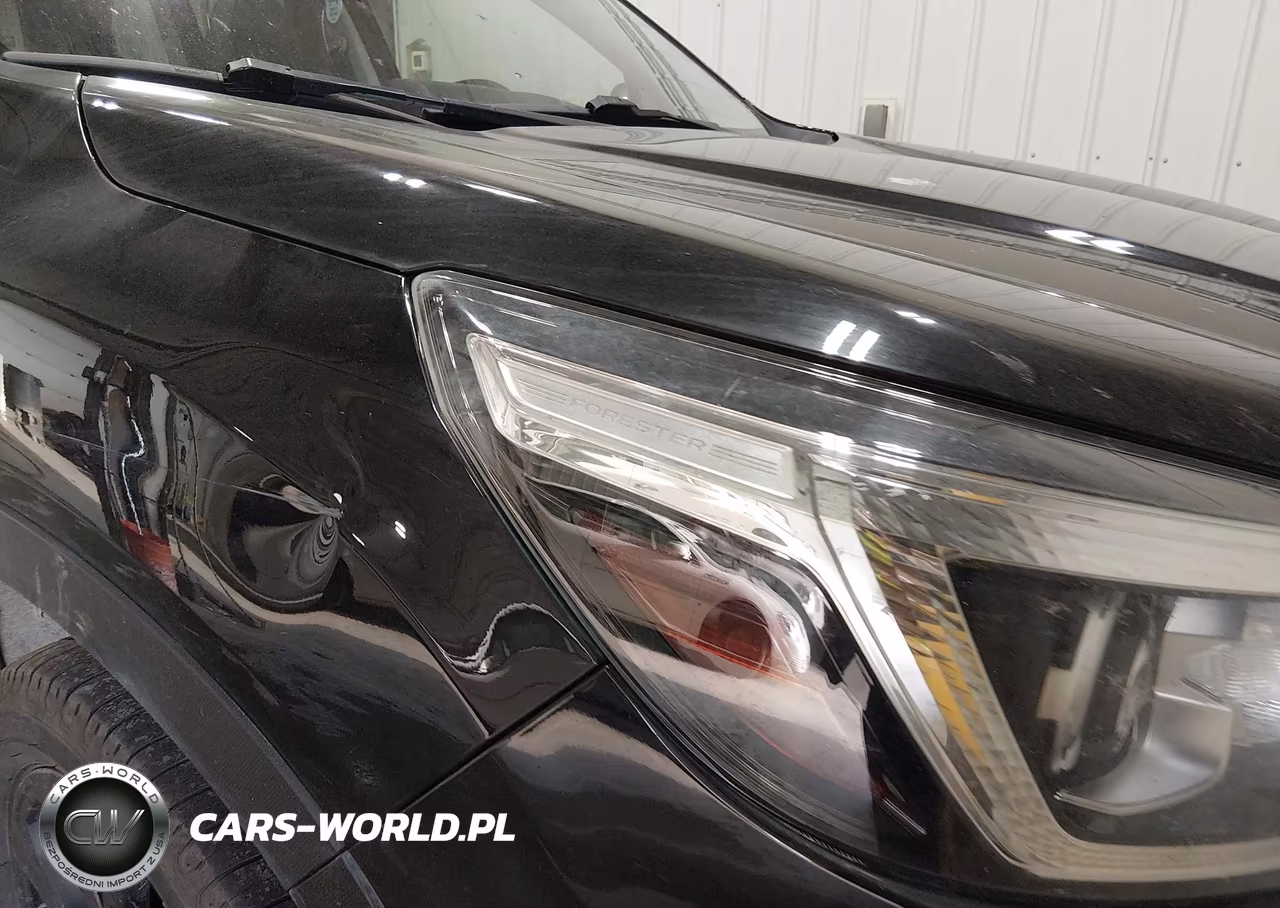 2019 Subaru Forester Sport VIN:JF2SKAPC4KH423629 - 6
