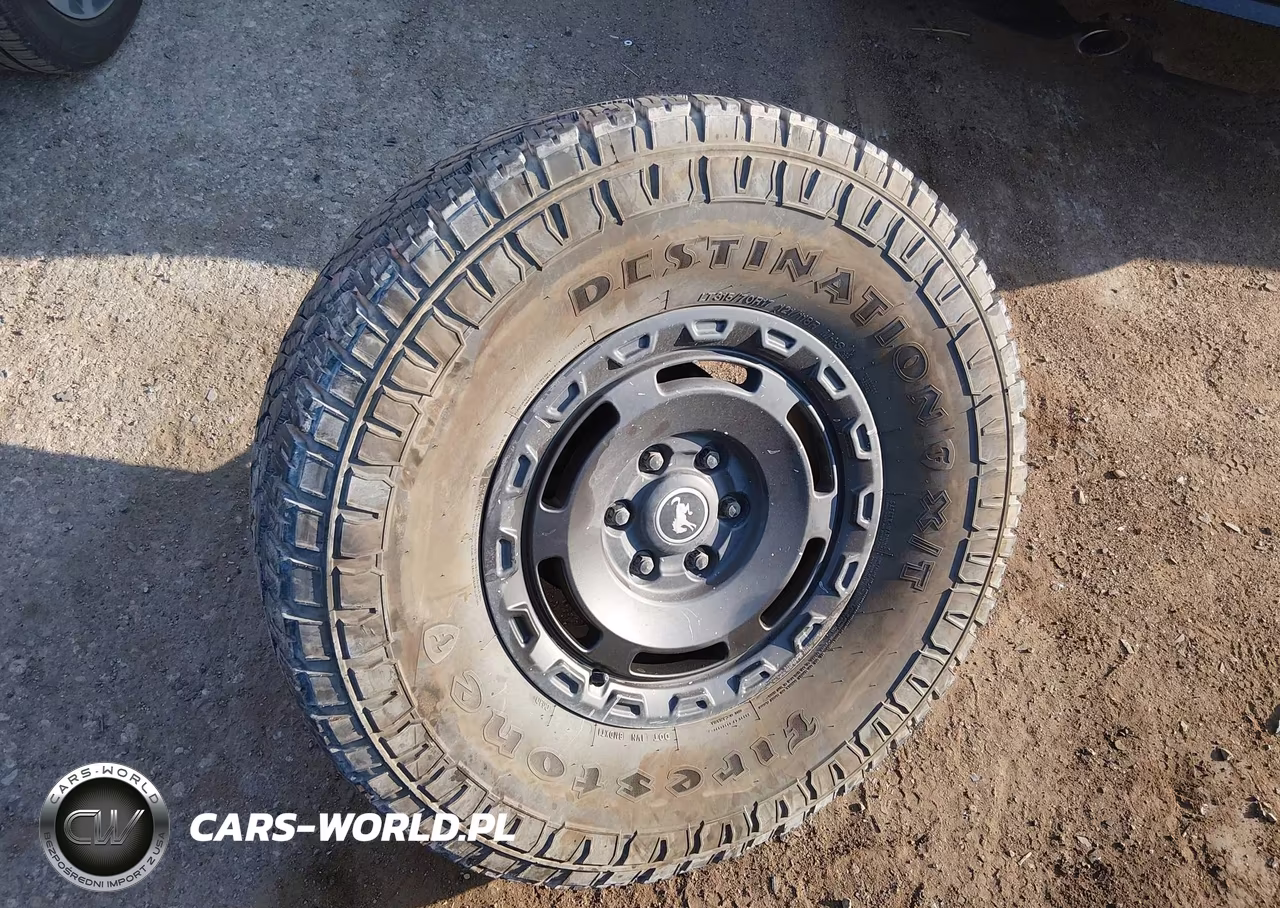 2024 Ford Bronco Everglades VIN:1FMEE4HH7RLA14784 - 12