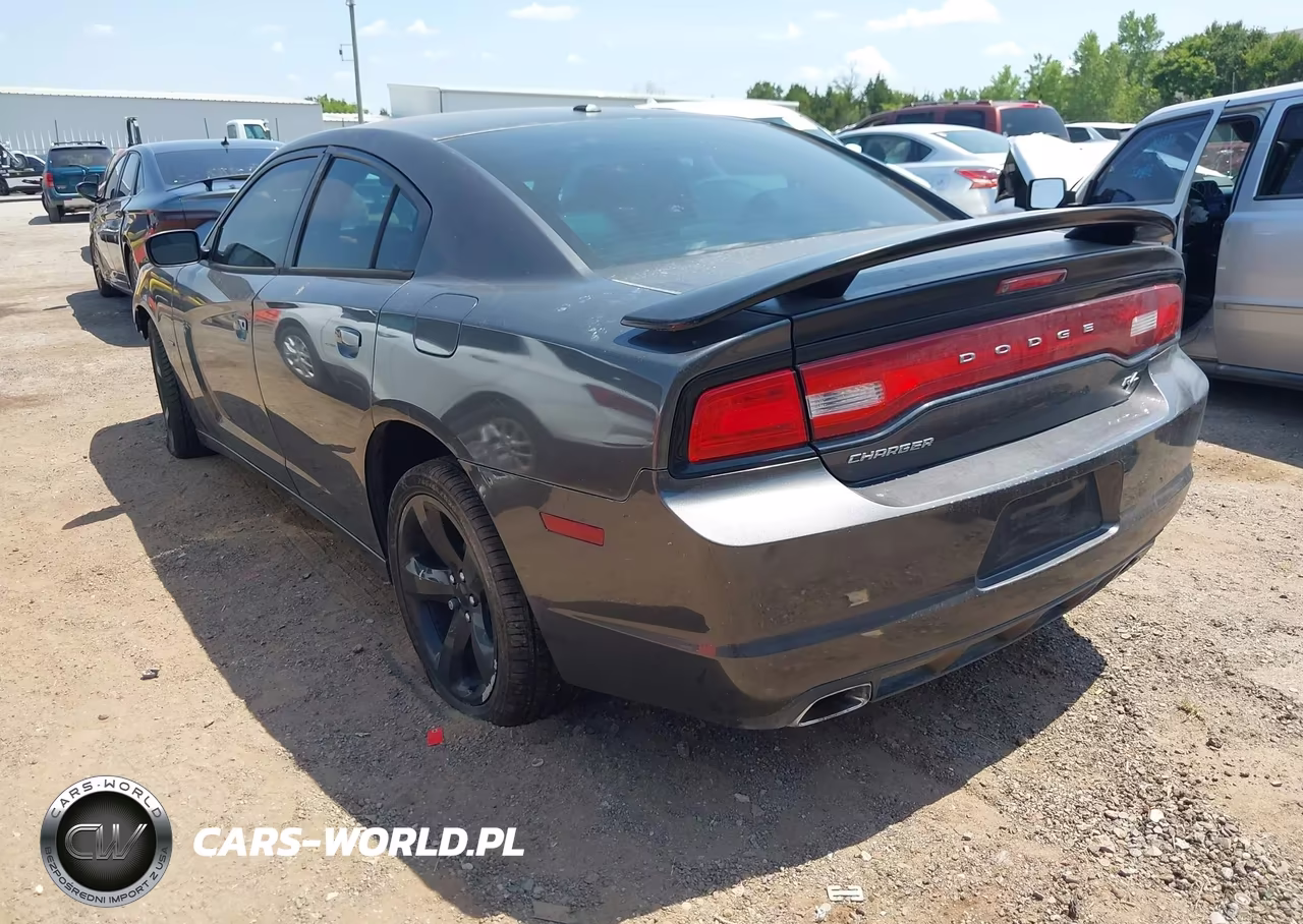 2014 Dodge Charger R-T Plus VIN:2C3CDXCT7EH342214 - 3