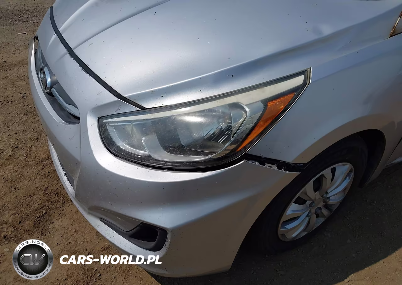 2016 Hyundai Accent Se VIN:KMHCT4AE1GU981251 - 12