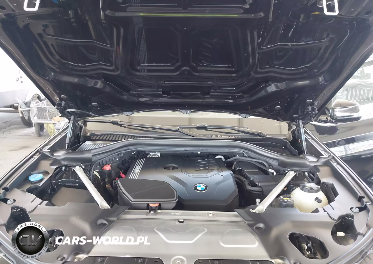 2020 BMW X3 Sdrive30I VIN:5UXTY3C08L9D40730 - 10