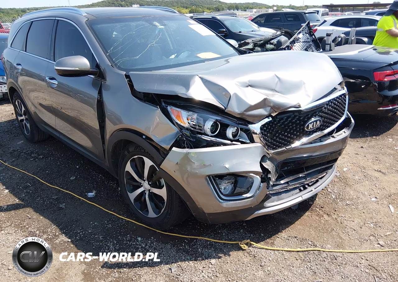 2016 Kia Sorento 3.3L Ex VIN:5XYPH4A51GG093365 - 6