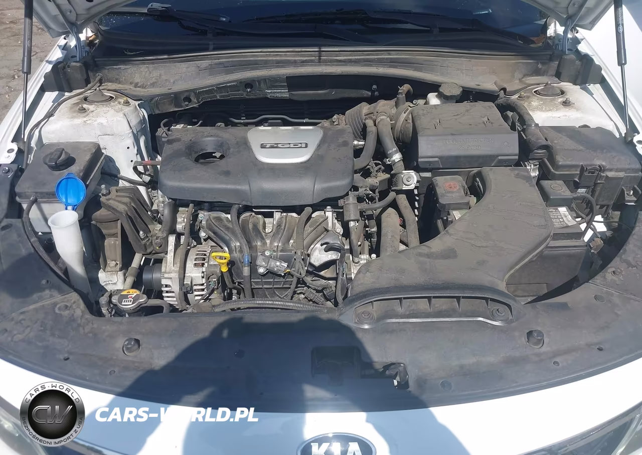 2020 Kia Optima Ex Premium VIN:5XXGU4L12LG409098 - 10