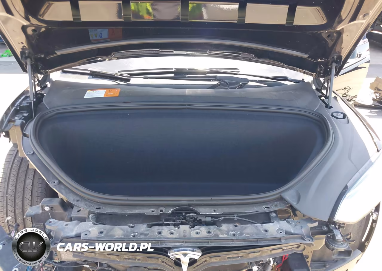 2018 Tesla Model X 100D-75D-P100D VIN:5YJXCDE20JF103669 - 10