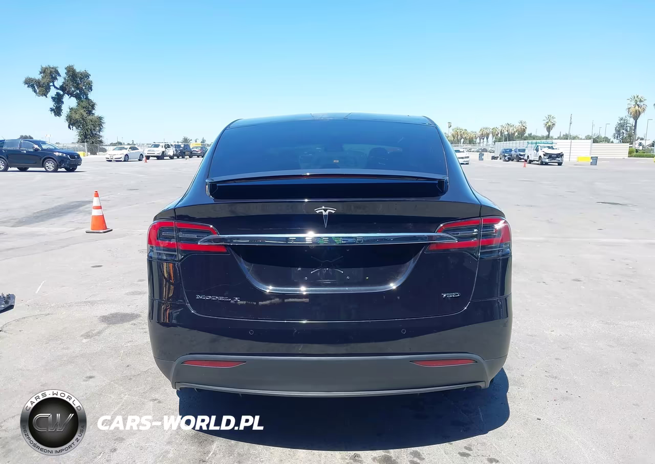 2018 Tesla Model X 100D-75D-P100D VIN:5YJXCDE20JF103669 - 17