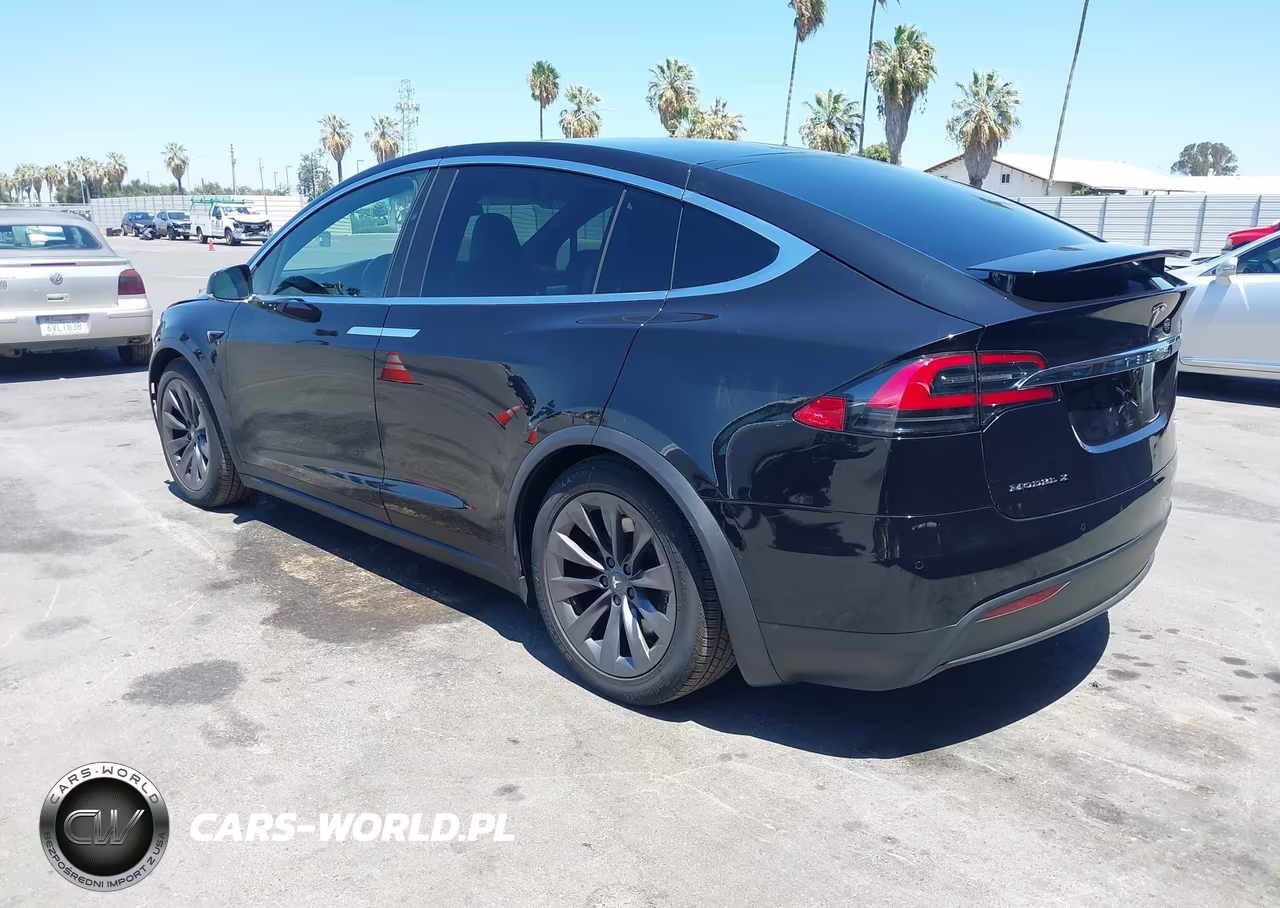 2018 Tesla Model X 100D-75D-P100D VIN:5YJXCDE20JF103669 - 3