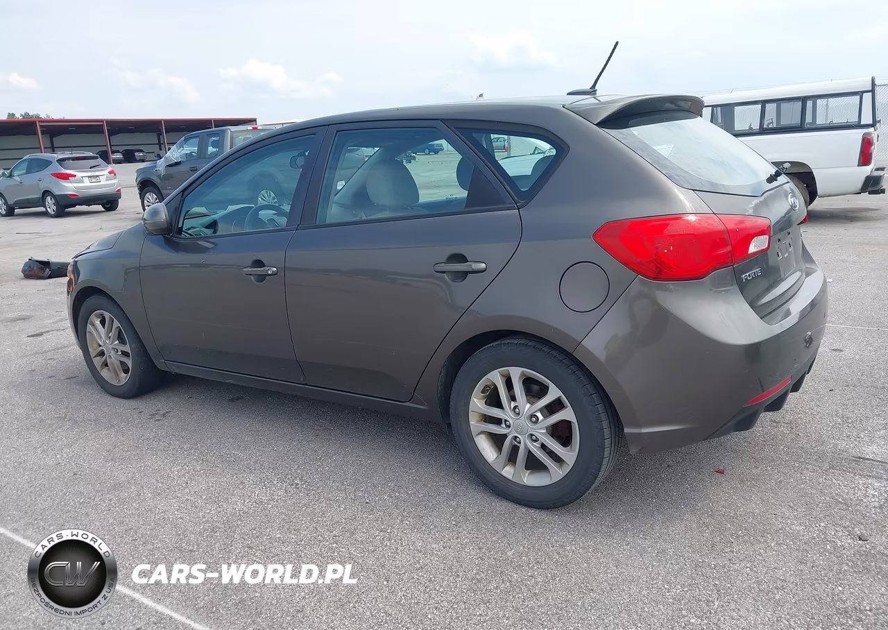 2011 Kia Forte Ex VIN:KNAFU5A28B5406591 - 3
