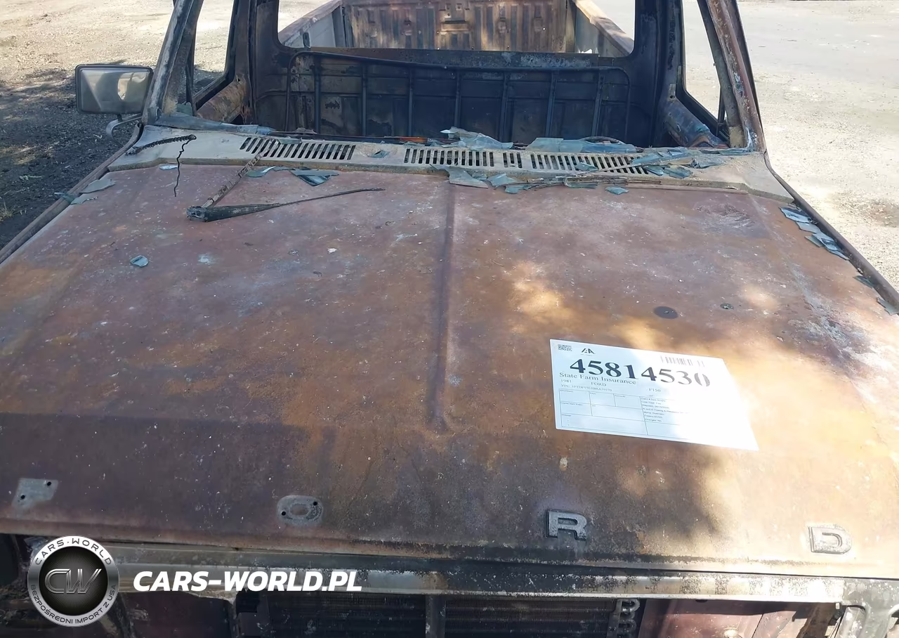 1981 Ford F150 VIN:1FTDF15E5BRA39370 - 10