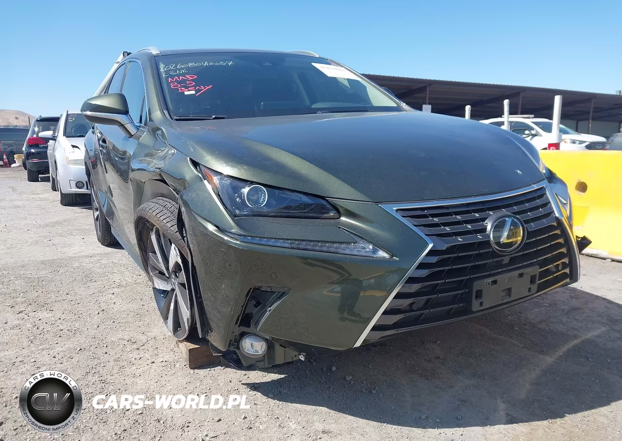2021 Lexus Nx 300 VIN:JTJGARDZ1M2247155 - 13