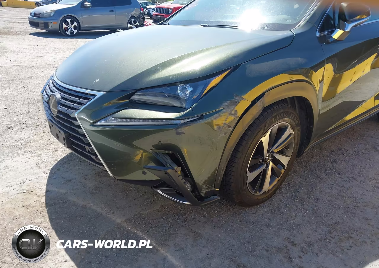 2021 Lexus Nx 300 VIN:JTJGARDZ1M2247155 - 14