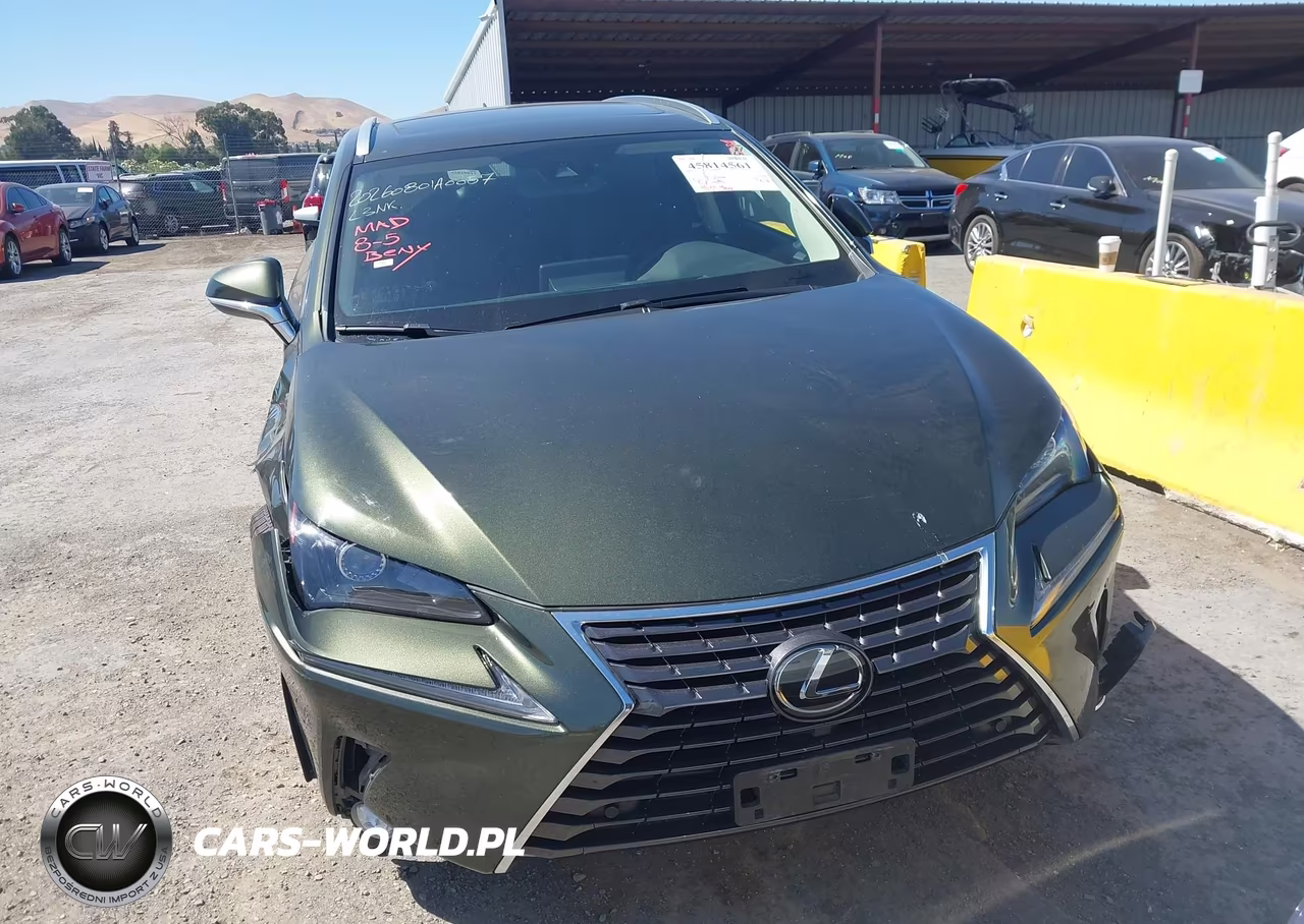 2021 Lexus Nx 300 VIN:JTJGARDZ1M2247155 - 15