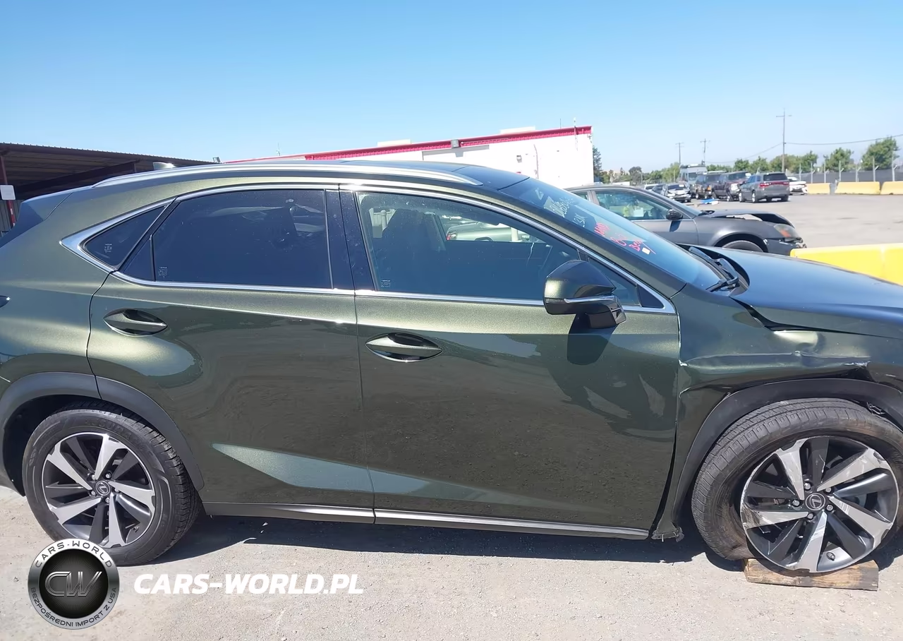 2021 Lexus Nx 300 VIN:JTJGARDZ1M2247155 - 16