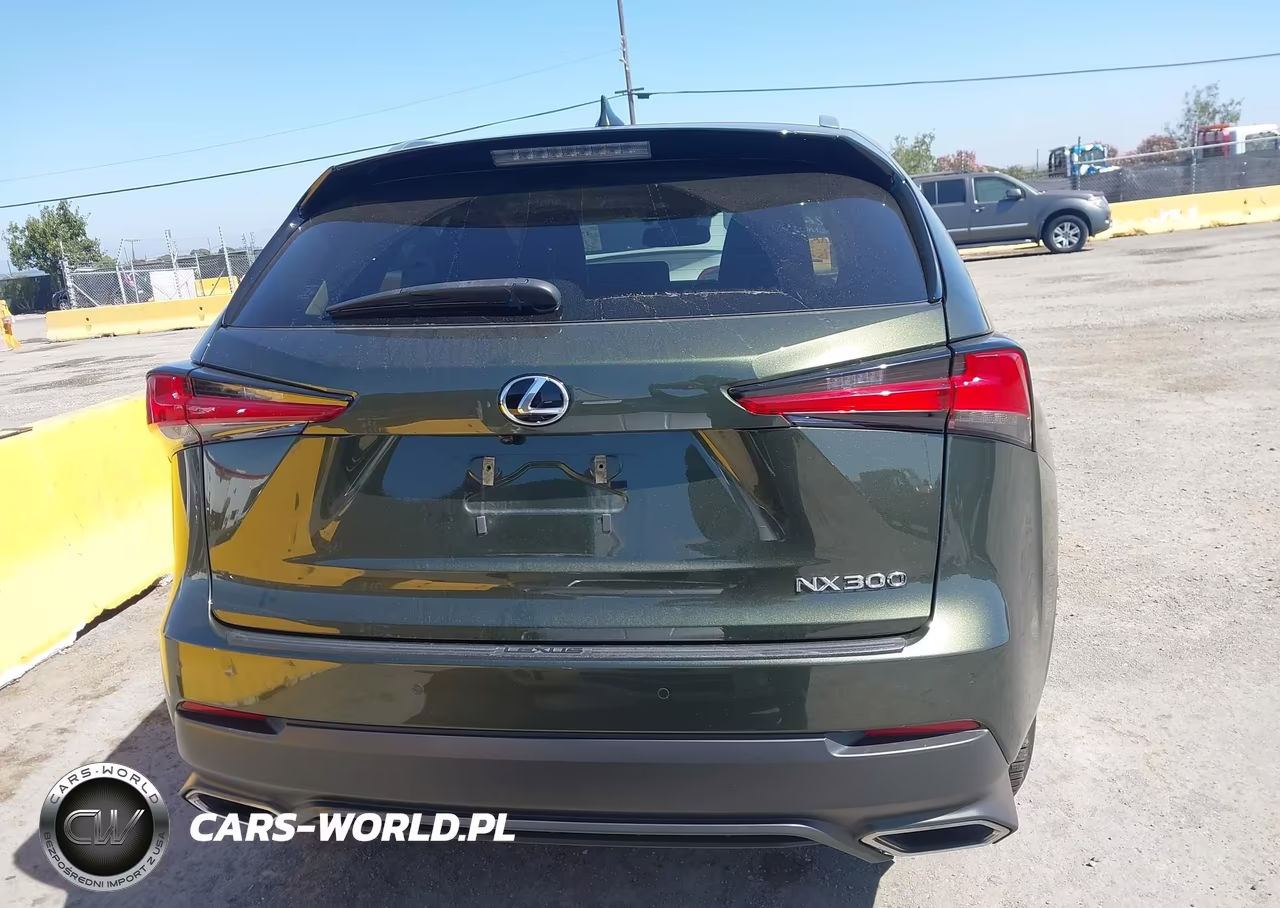 2021 Lexus Nx 300 VIN:JTJGARDZ1M2247155 - 19