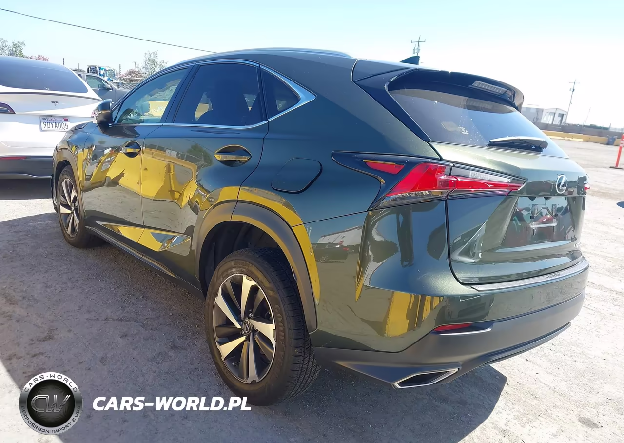 2021 Lexus Nx 300 VIN:JTJGARDZ1M2247155 - 3