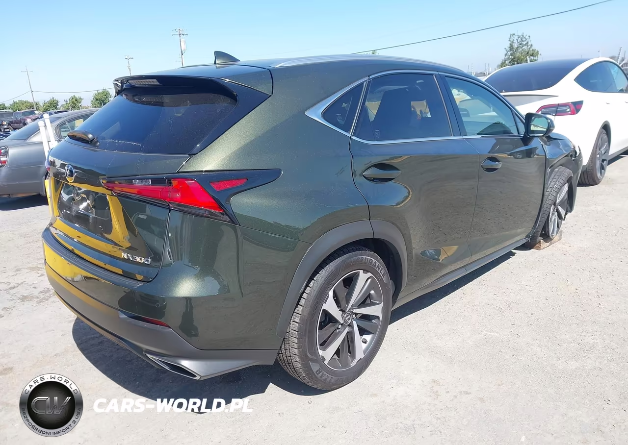 2021 Lexus Nx 300 VIN:JTJGARDZ1M2247155 - 4