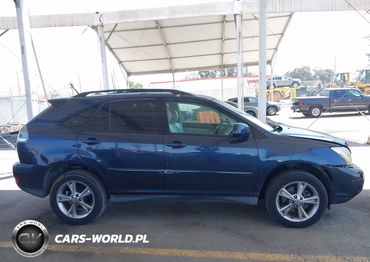 2006 Lexus Rx 400H VIN:JTJHW31U360039143 - 13