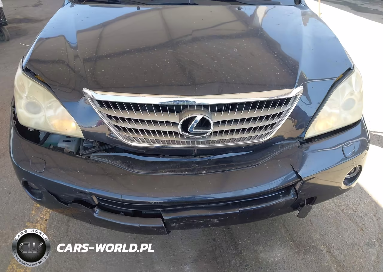 2006 Lexus Rx 400H VIN:JTJHW31U360039143 - 17