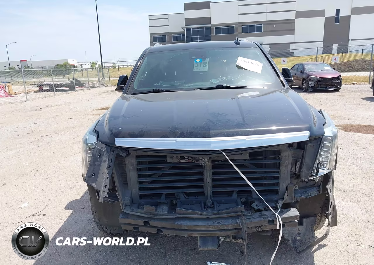 2020 Cadillac Escalade Esv 2Wd Platinum VIN:1GYS3KKJ5LR147507 - 13
