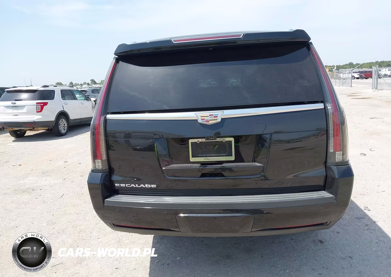 2020 Cadillac Escalade Esv 2Wd Platinum VIN:1GYS3KKJ5LR147507 - 17