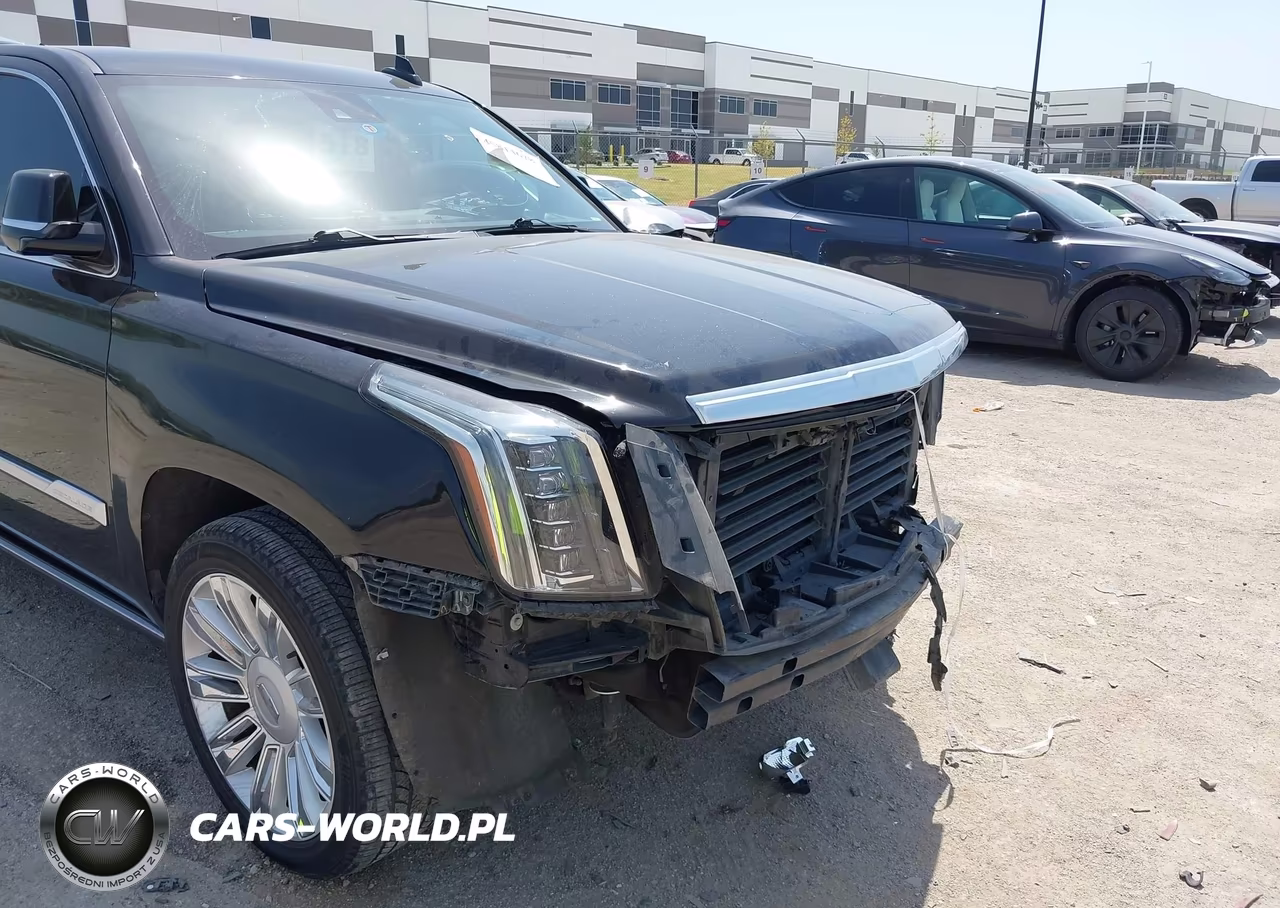 2020 Cadillac Escalade Esv 2Wd Platinum VIN:1GYS3KKJ5LR147507 - 18