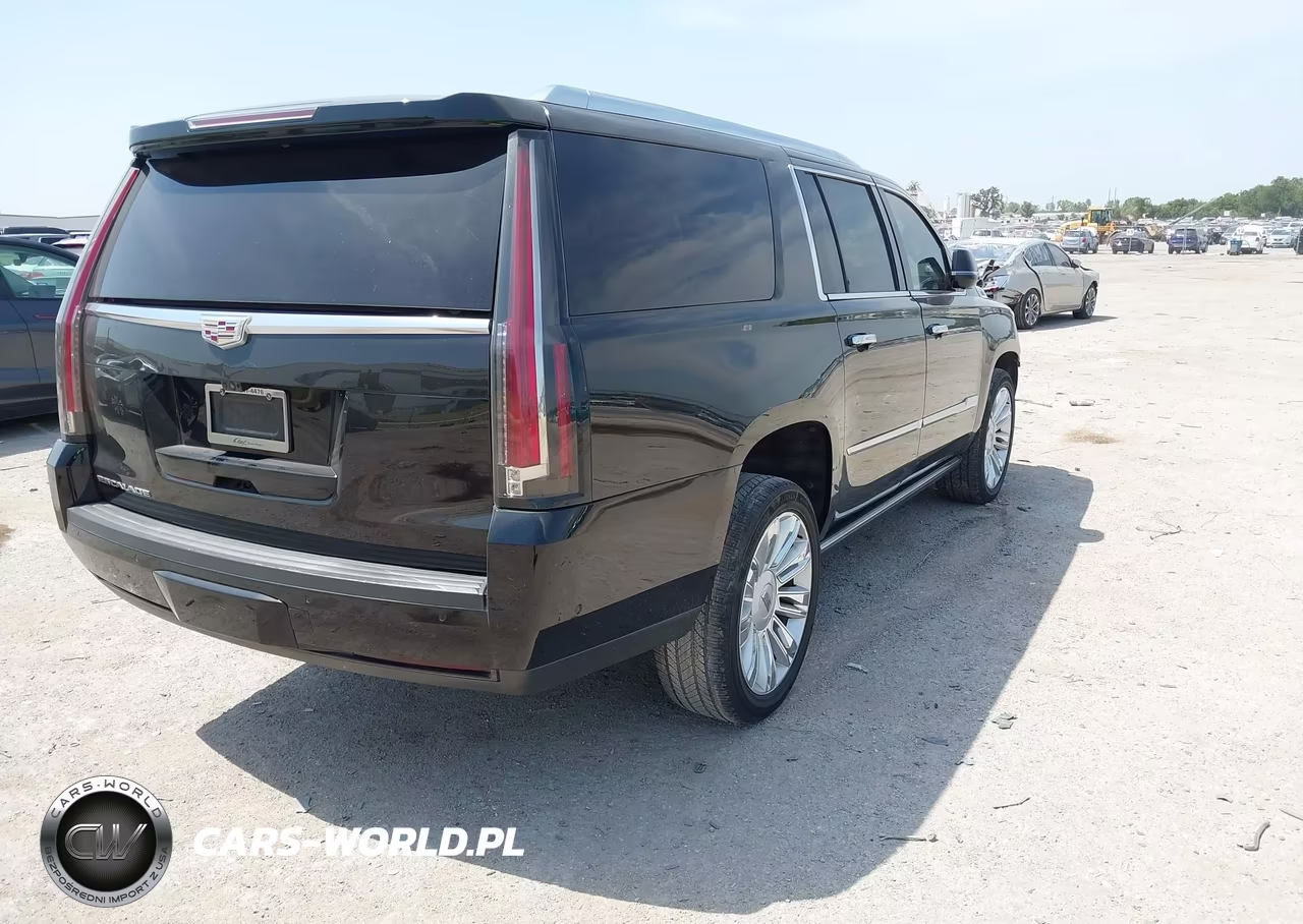 2020 Cadillac Escalade Esv 2Wd Platinum VIN:1GYS3KKJ5LR147507 - 4