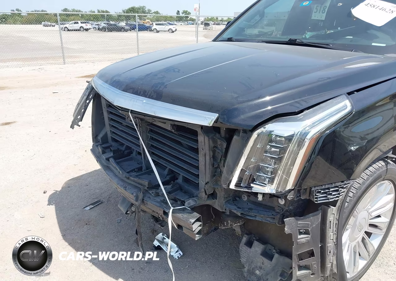 2020 Cadillac Escalade Esv 2Wd Platinum VIN:1GYS3KKJ5LR147507 - 6