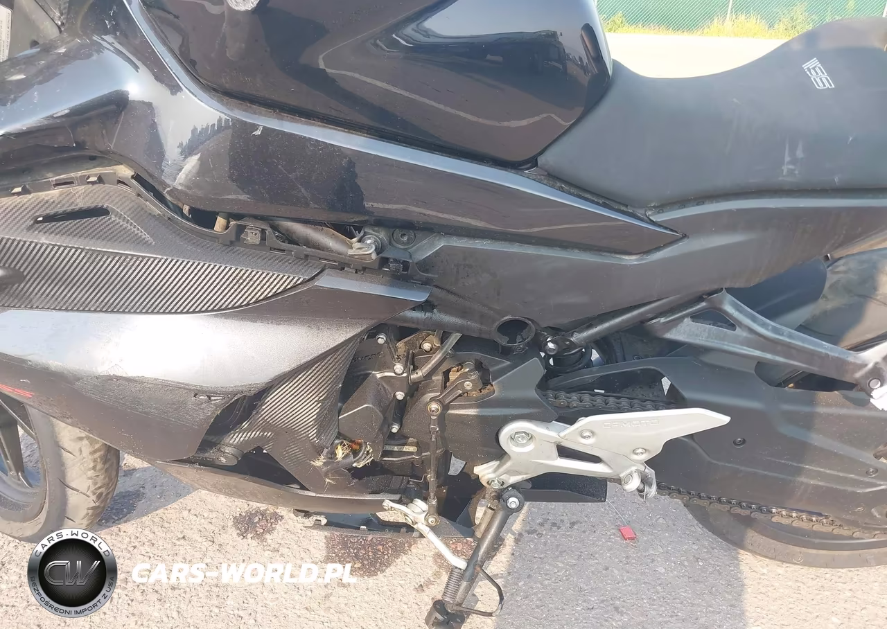 2024 Cf Moto 450Ss VIN:LCEPESLA6R6002913 - 9