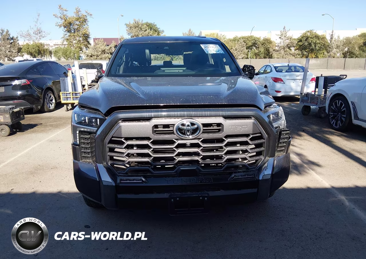 2025 Toyota Tundra Platinum VIN:5TFWA5DBXSX305290 - 15