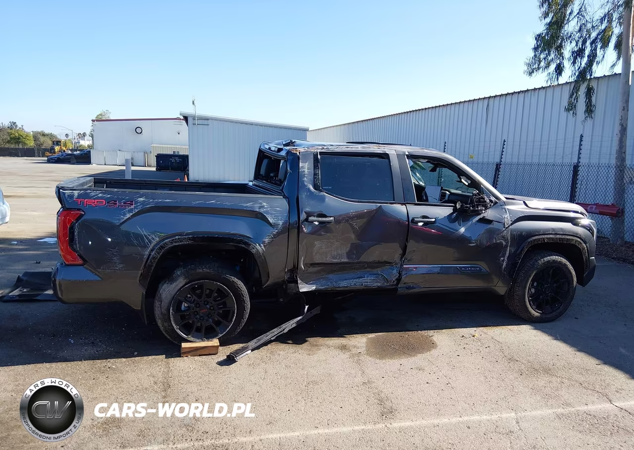 2025 Toyota Tundra Platinum VIN:5TFWA5DBXSX305290 - 16
