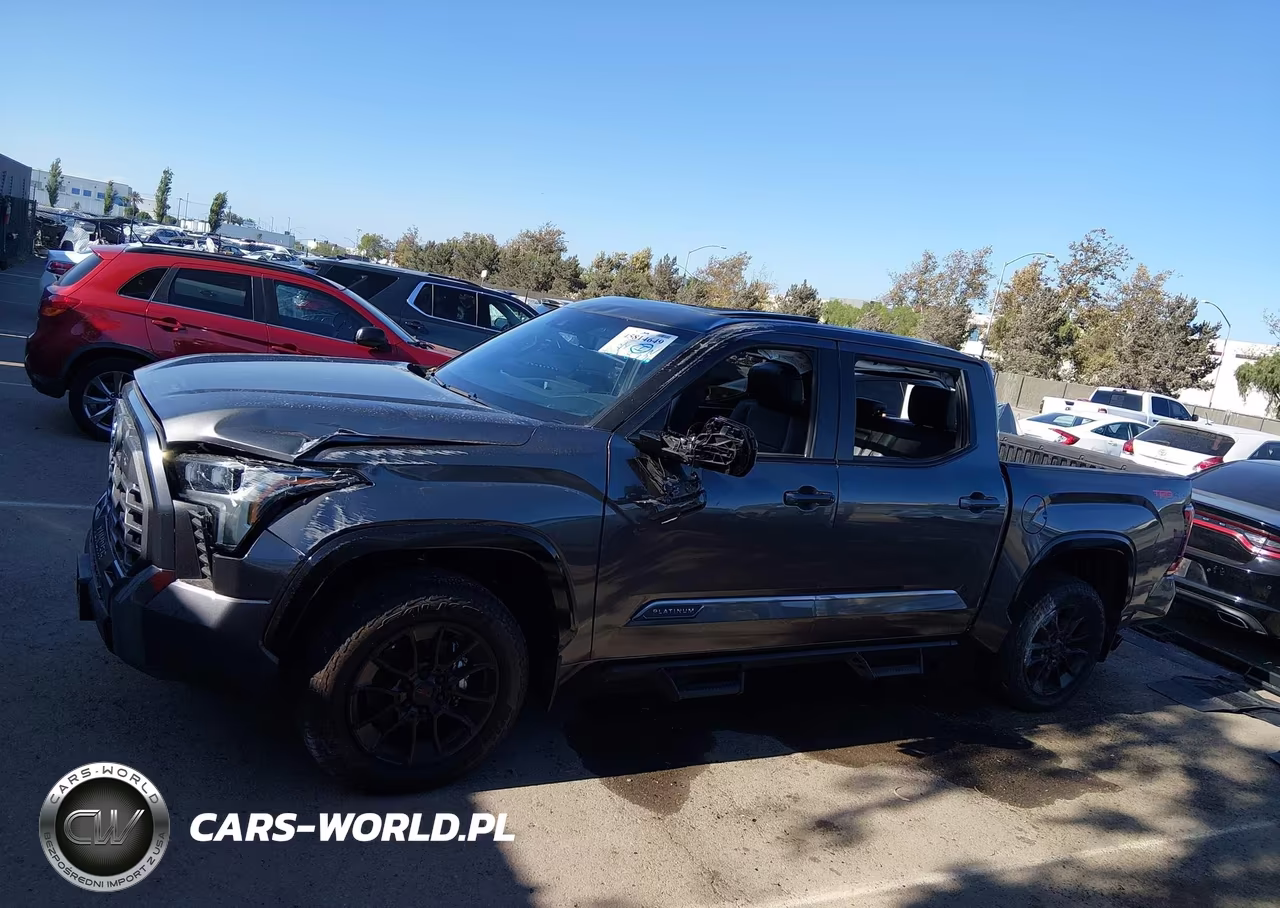 2025 Toyota Tundra Platinum VIN:5TFWA5DBXSX305290 - 17