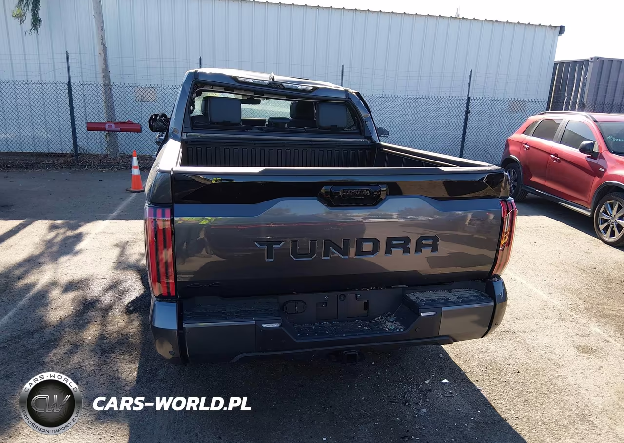 2025 Toyota Tundra Platinum VIN:5TFWA5DBXSX305290 - 19