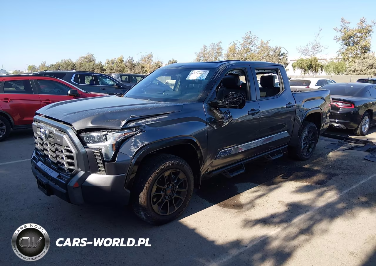 2025 Toyota Tundra Platinum VIN:5TFWA5DBXSX305290 - 2
