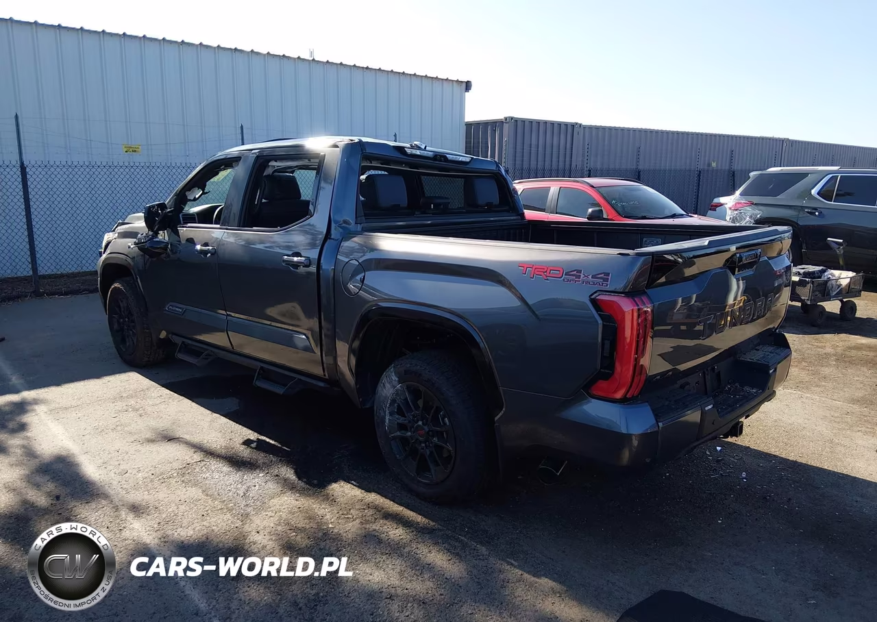 2025 Toyota Tundra Platinum VIN:5TFWA5DBXSX305290 - 3