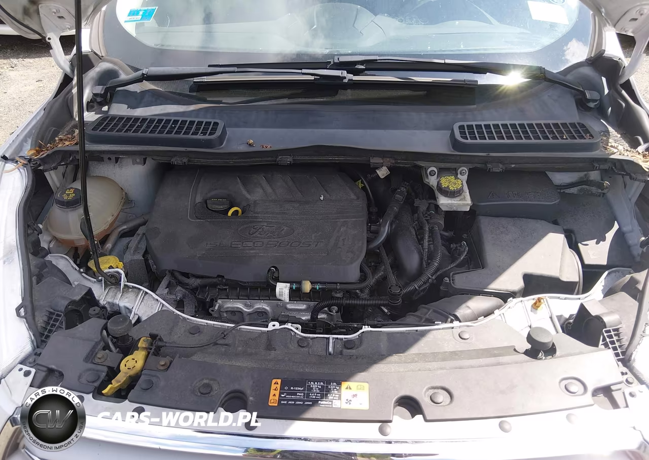 2018 Ford Escape Se VIN:1FMCU0GD5JUC17723 - 10